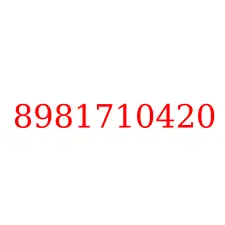 8981710420