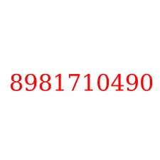 8981710490