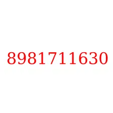 8981711630