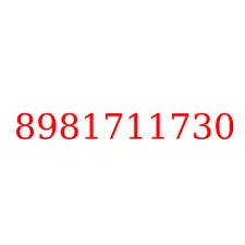 8981711730