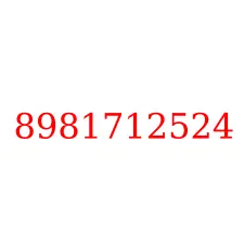 8981712524
