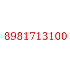 8981713100
