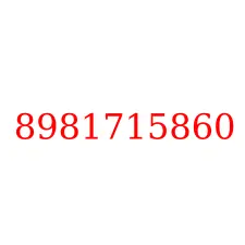 8981715860
