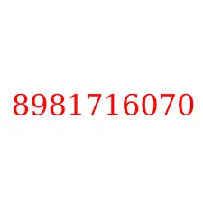 8981716070