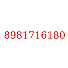 8981716180