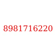 8981716220
