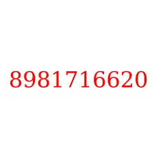 8981716620
