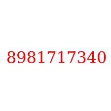 8981717340