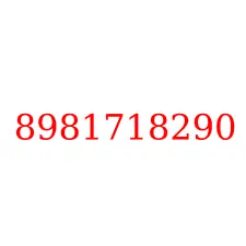 8981718290