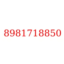 8981718850