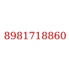 8981718860