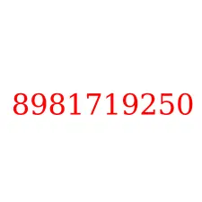 8981719250