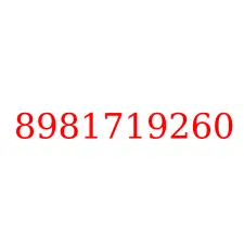8981719260