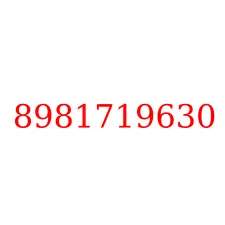 8981719630
