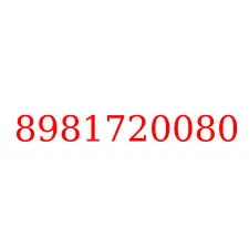 8981720080