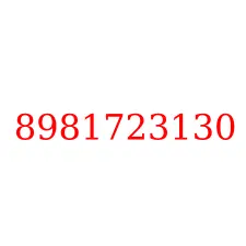 8981723130