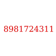 8981724311