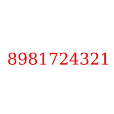 8981724321