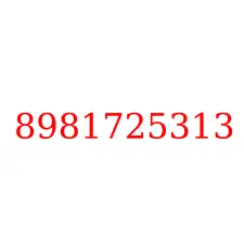 8981725313