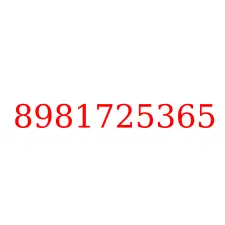 8981725365
