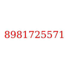 8981725571