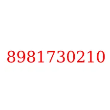 8981730210