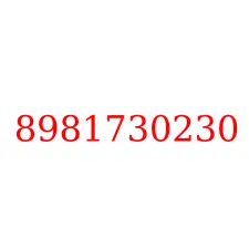 8981730230