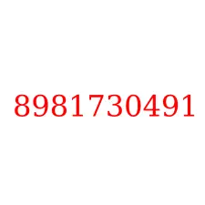 8981730491