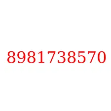 8981738570