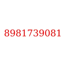 8981739081