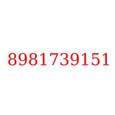 8981739151