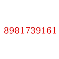 8981739161