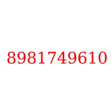 8981749610