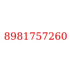 8981757260