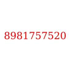 8981757520