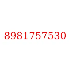 8981757530