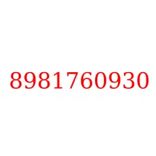 8981760930