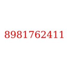 8981762411