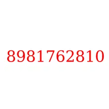 8981762810