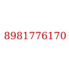 8981776170