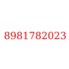 8981782023