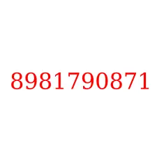 8981790871