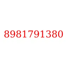 8981791380