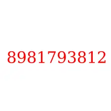 8981793812