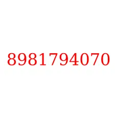 8981794070