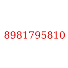 8981795810