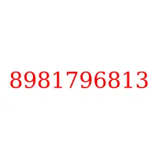8981796813