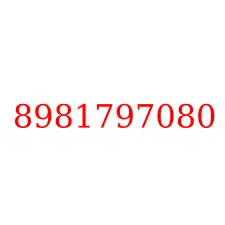 8981797080