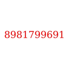 8981799691