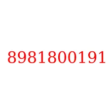 8981800191